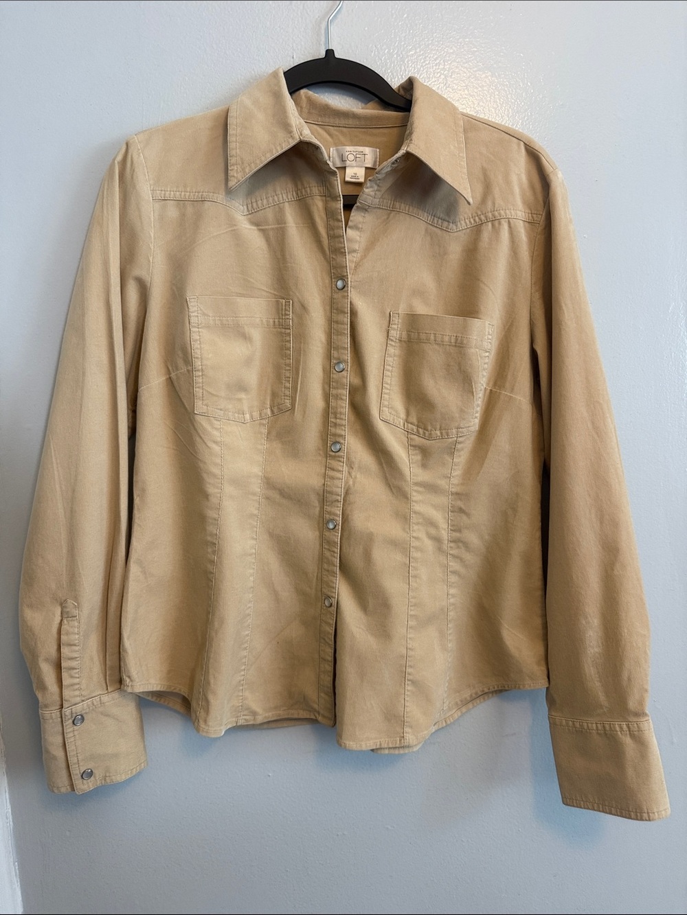 LOFT Men's Beige Button-Down Casual Shirt